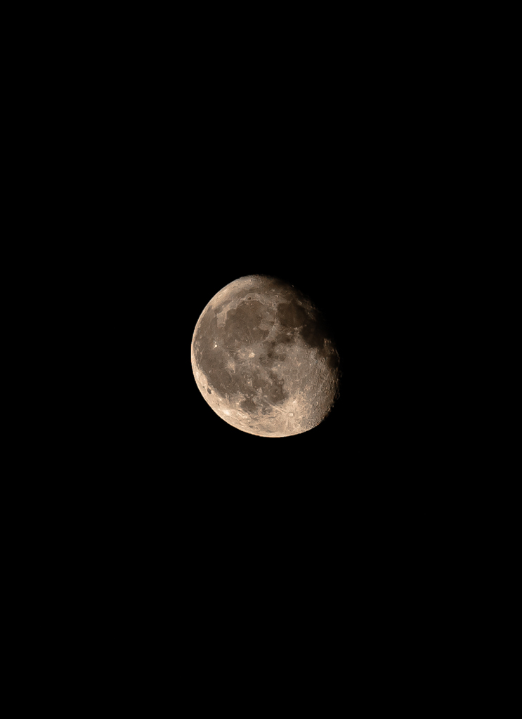 今夜は脇役