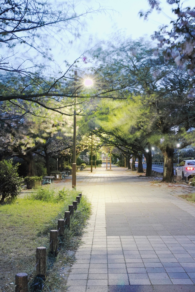 風の通り道