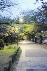 風の通り道