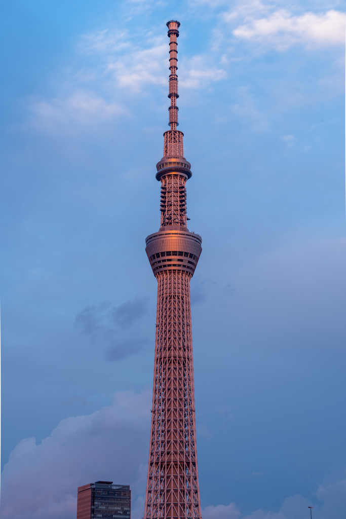 夕日に染まるスカイツリー