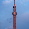 夕日に染まるスカイツリー