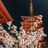 浅草寺の五重の塔ライトアップ１