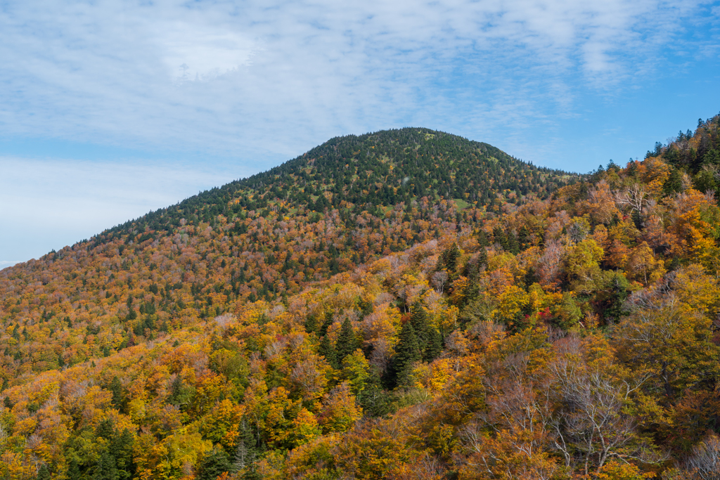 八甲田山〜酸ヶ湯　紅葉のグラデーション