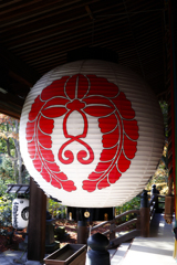 丸い！