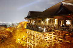 三脚禁止（汗）