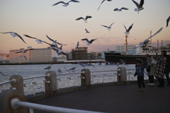 Happy New Year from Yokohama