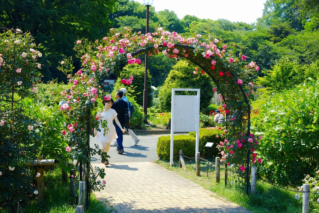 駆け抜ける若さ