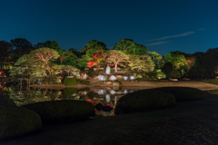 都内屈指　六義園のライトアップ４