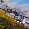 平成最後の桜と令和の担い手たち