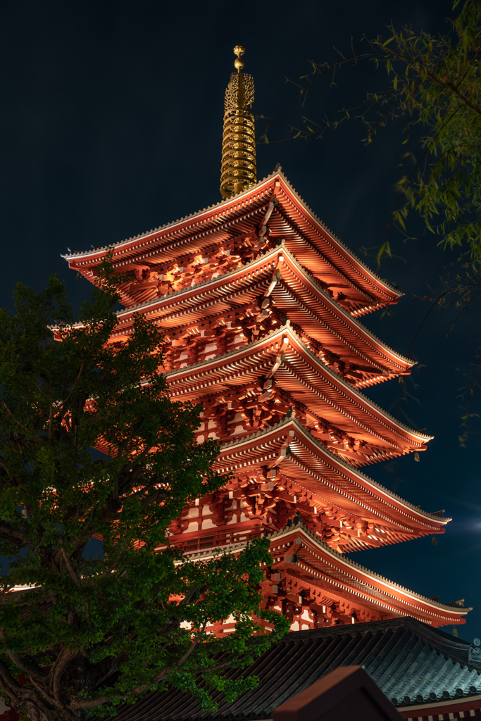 浅草寺の五重の塔ライトアップ２