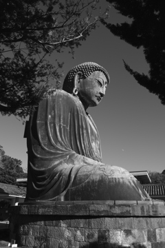 The Great Buddha