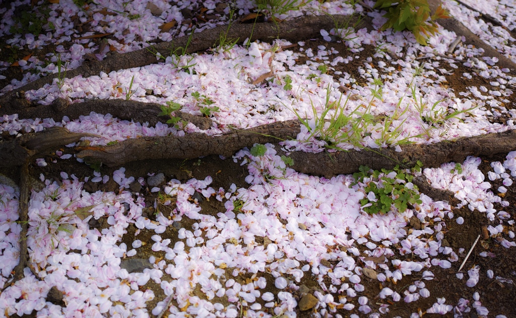 今年もありがとう