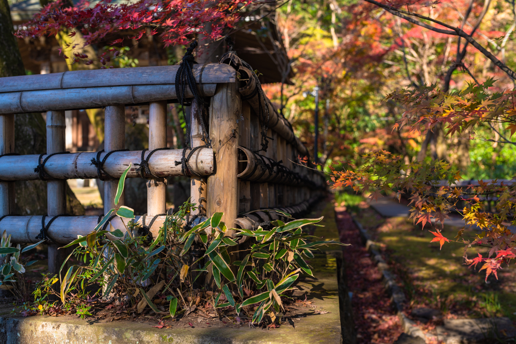 待ち遠しい深大寺の裏通り（昨年の一コマ）