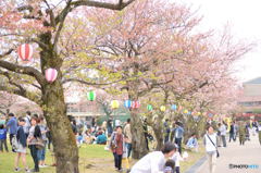 春祭り