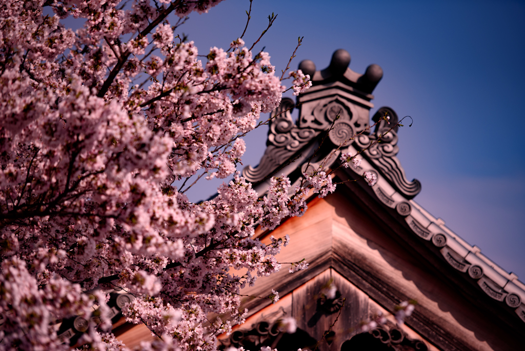 行福寺其の二