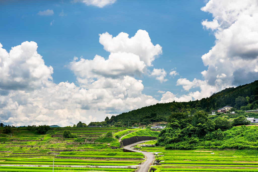 田舎の夏景色