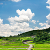 田舎の夏景色