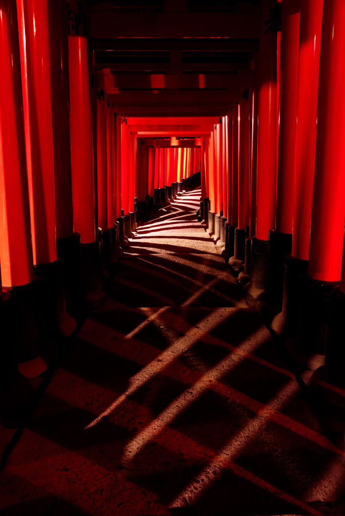 Shadow Of 1000 Torii's Gates