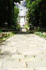 塩竈神社表拝道