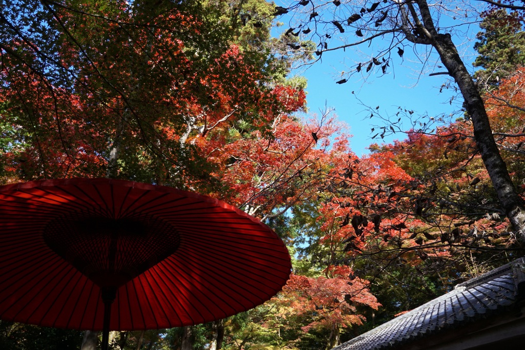 瑞宝寺