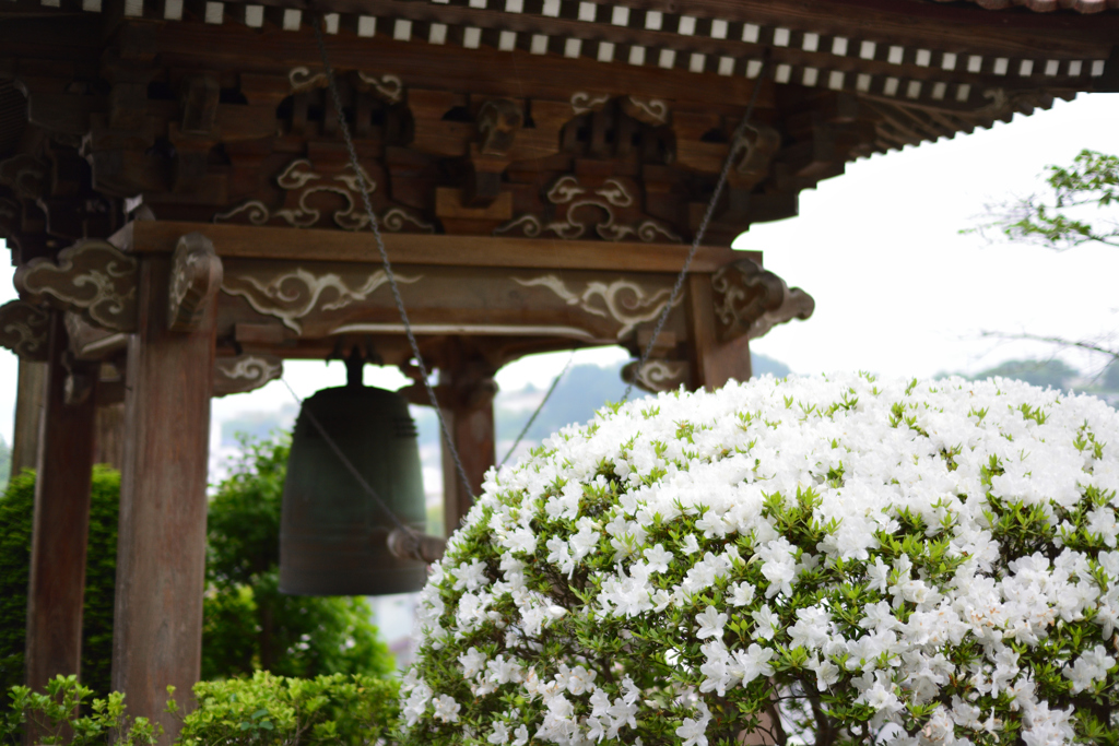 観音寺