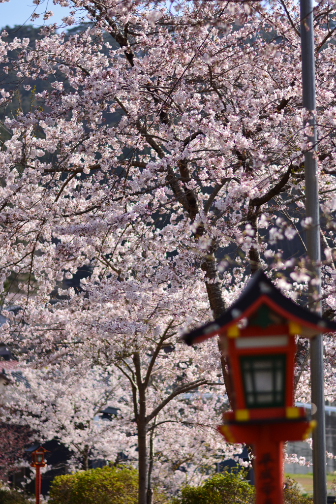 北野神社