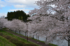 平筒沼