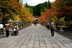 奥の院参道