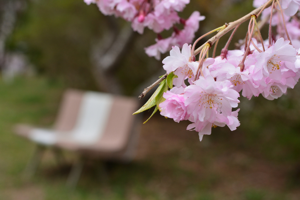 天神山公園