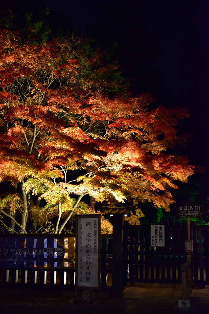 瑞巌寺