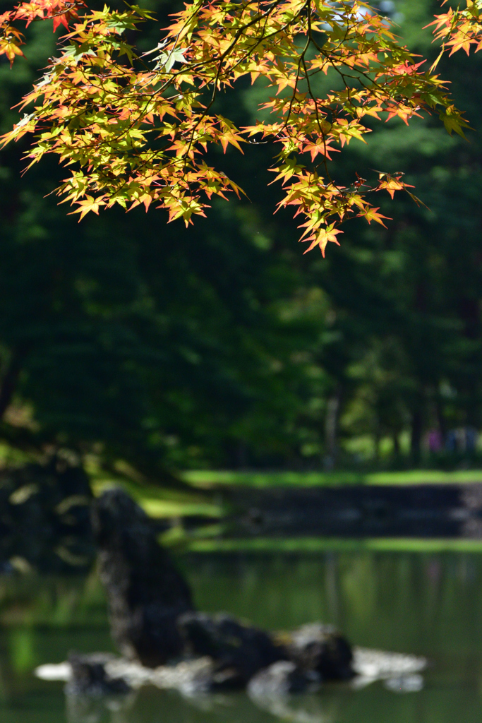 浄土庭園