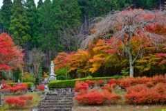 観音様と紅葉