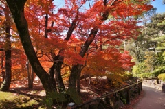 相楽園