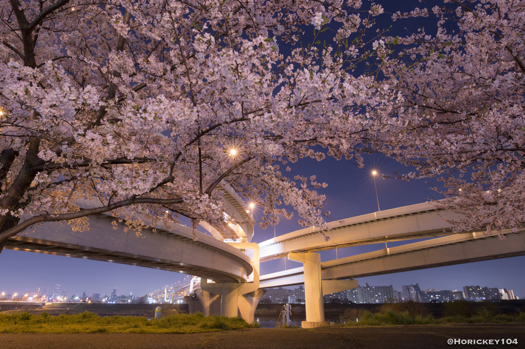 江北JCTと夜桜