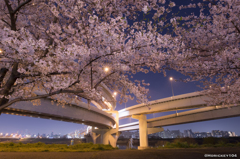 江北JCTと夜桜