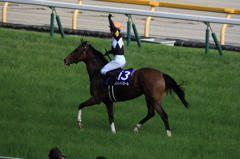 ストレイトガール（2016年ヴィクトリアマイル）