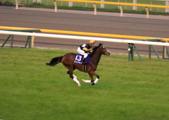 ストレイトガール（2016年10月30日 引退式）