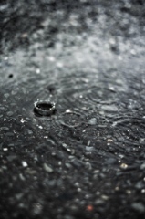 アスファルトに弾ける雨