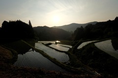 田園