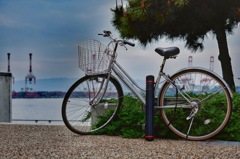 海と自転車