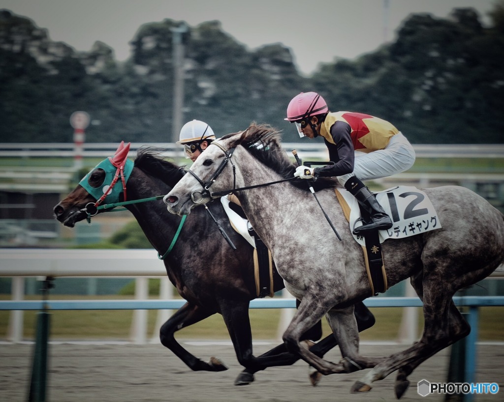 京都競馬場