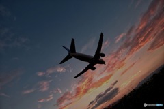 夕陽に向かって