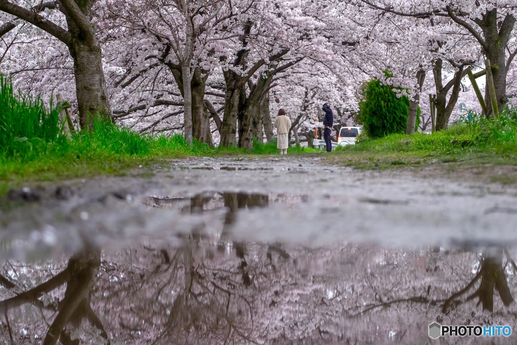 雨上がり