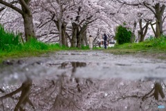 雨上がり