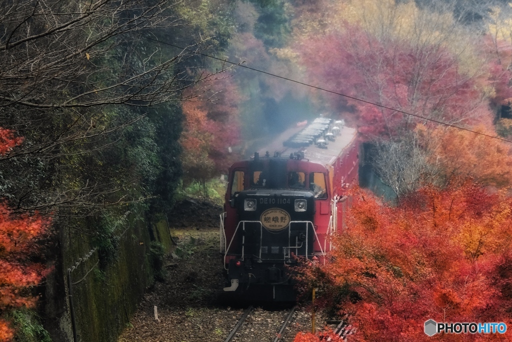 嵯峨野トロッコ列車