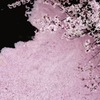 桜筏