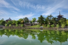奈良公園 猿沢池より