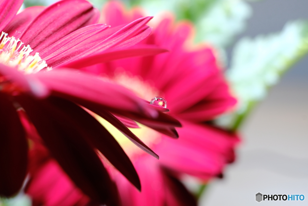 Water drops