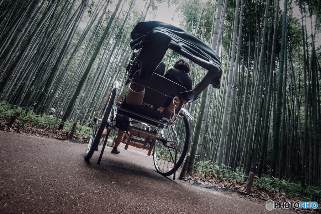 人力車と竹林