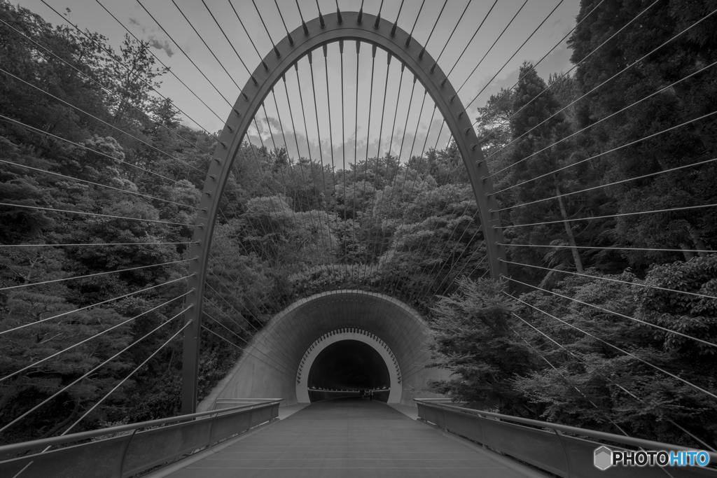 arch tunnel